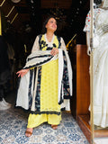 Pakistani Style Cotton Fabric Suit